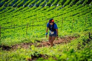 BIB: 
                            <button type="button" onclick="openModal(19161427)" class="btn btn-primary btn-sm float-right btn-popup" data-toggle="modal" data-target=".modal-high-quality">
                        <i class="fas fa-shopping-cart"></i> Add to Cart
                    </button>
                                            <button type="button" onclick="isThisMe(19161427, true)" class="btn btn-success btn-sm float-right btn-popup btn-isme hidden" data-toggle="tooltip" data-placement="bottom" title="นี่คือรูปของคุณใช่ไหม คลิกที่นี่เพื่อเอาเข้าอัลบั้ม">
                        <i class="fas fa-plus"></i> Add to album
                    </button>
                    <button type="button" onclick="isThisMe(19161427, false)" class="btn btn-warning btn-sm float-right btn-popup btn-isnotme hidden">
                        <i class="fas fa-ban"></i> Remove from album
                    </button>